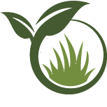 Key Begonia Planting